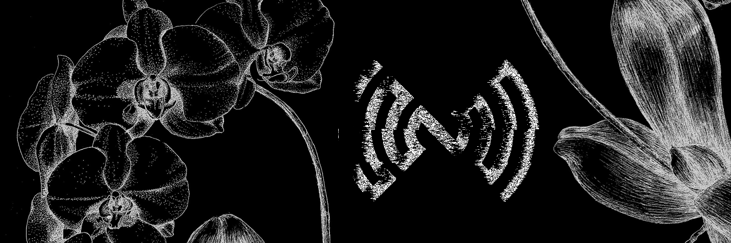 nokbient's profile banner image