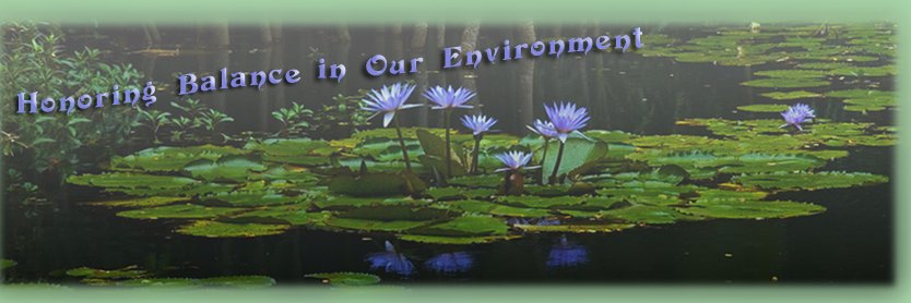 HolisticPracLA's profile banner image
