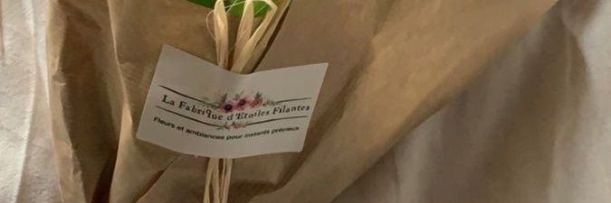qpo banner