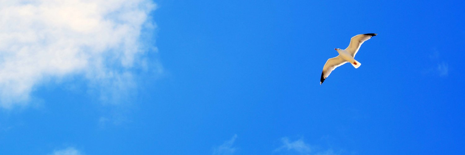 M_shufood's profile banner image