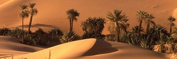 MansionBeach's profile banner image