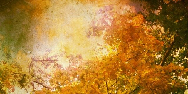 MaeG765's profile banner image