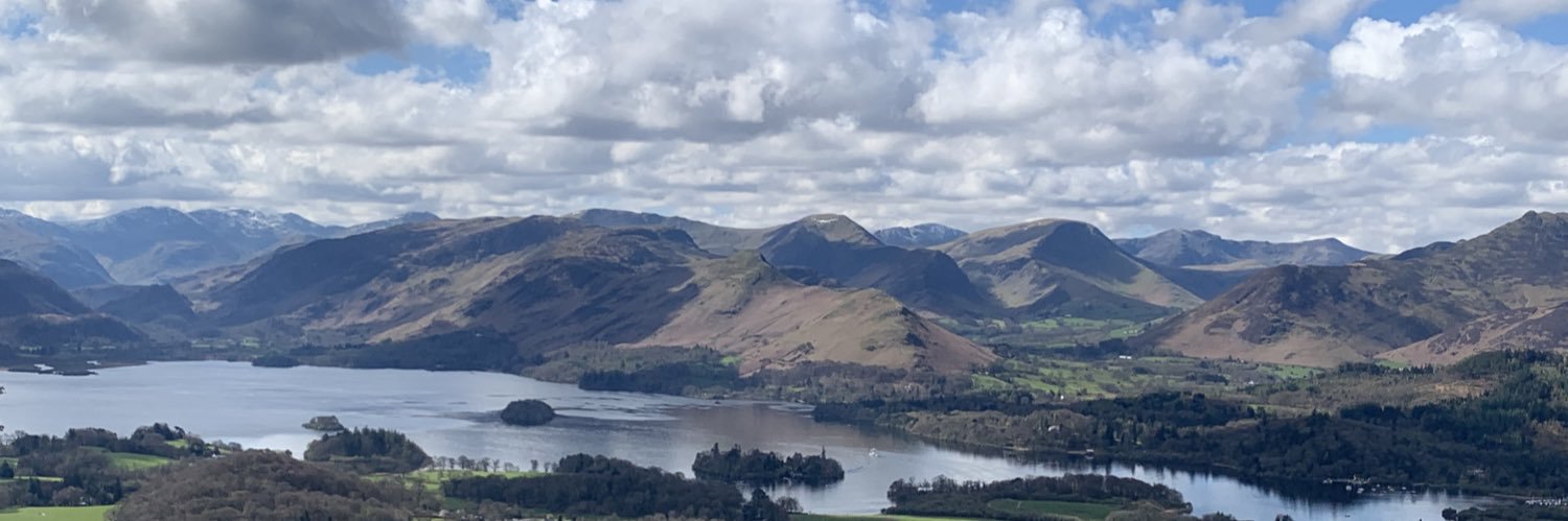 Rowan Morrison banner