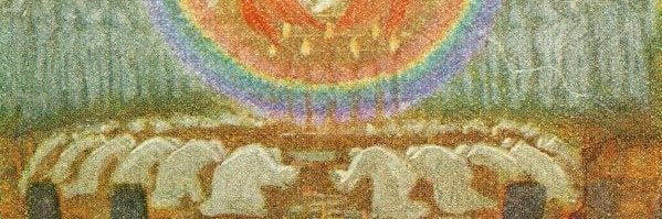 saviotu's profile banner image
