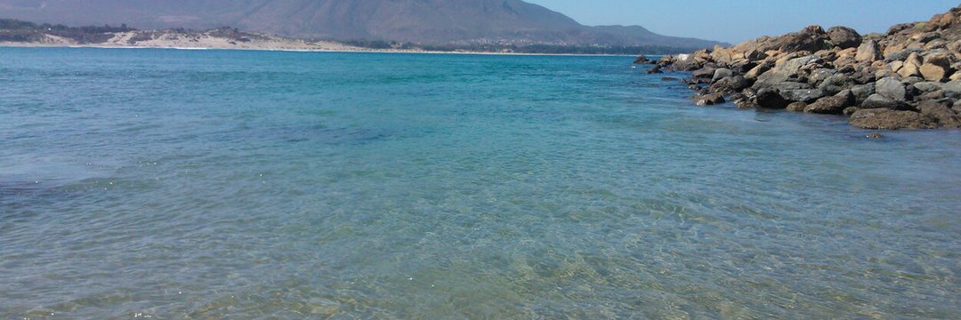 javi/era #SiempreIzquierda banner