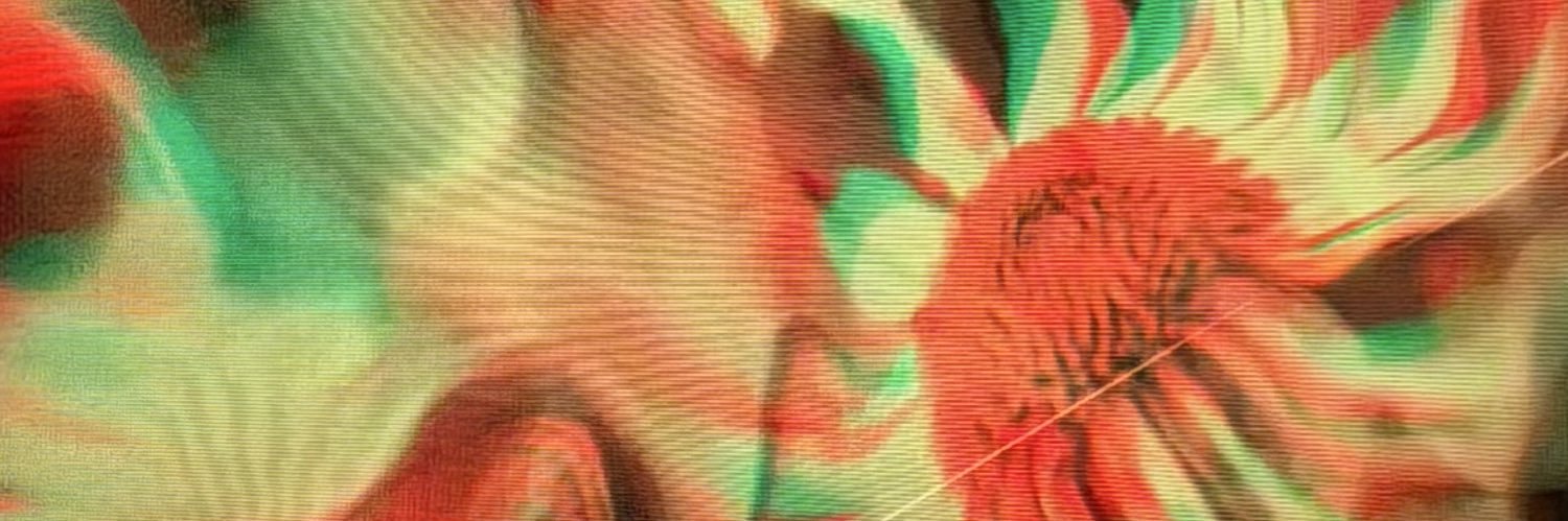 ninaxpalumbo's profile banner image