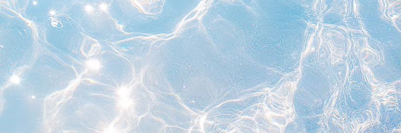 cheru ♡ seabunny.ai's banner