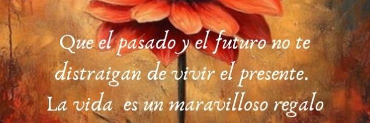 beatriz🍀🧡 banner