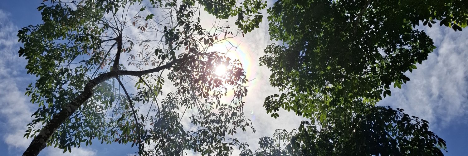 bearinkyu's profile banner image