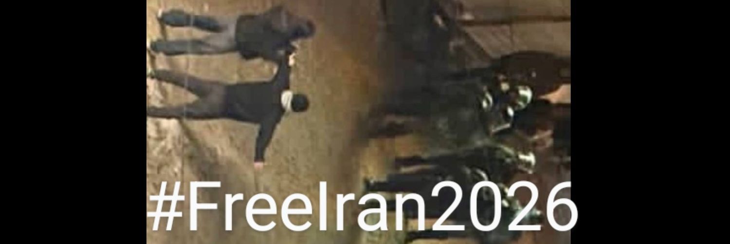 puddle fish project🎗️ banner