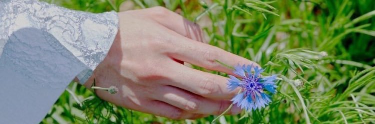 pervade1231's profile banner image