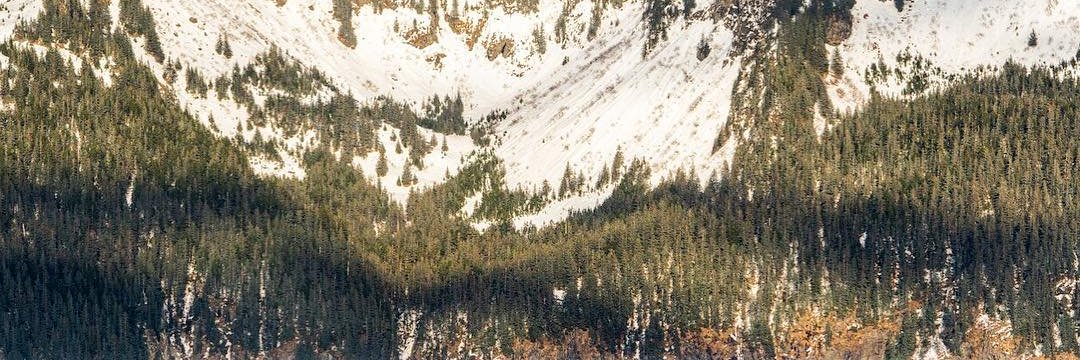 coinmarkettaner.eth banner