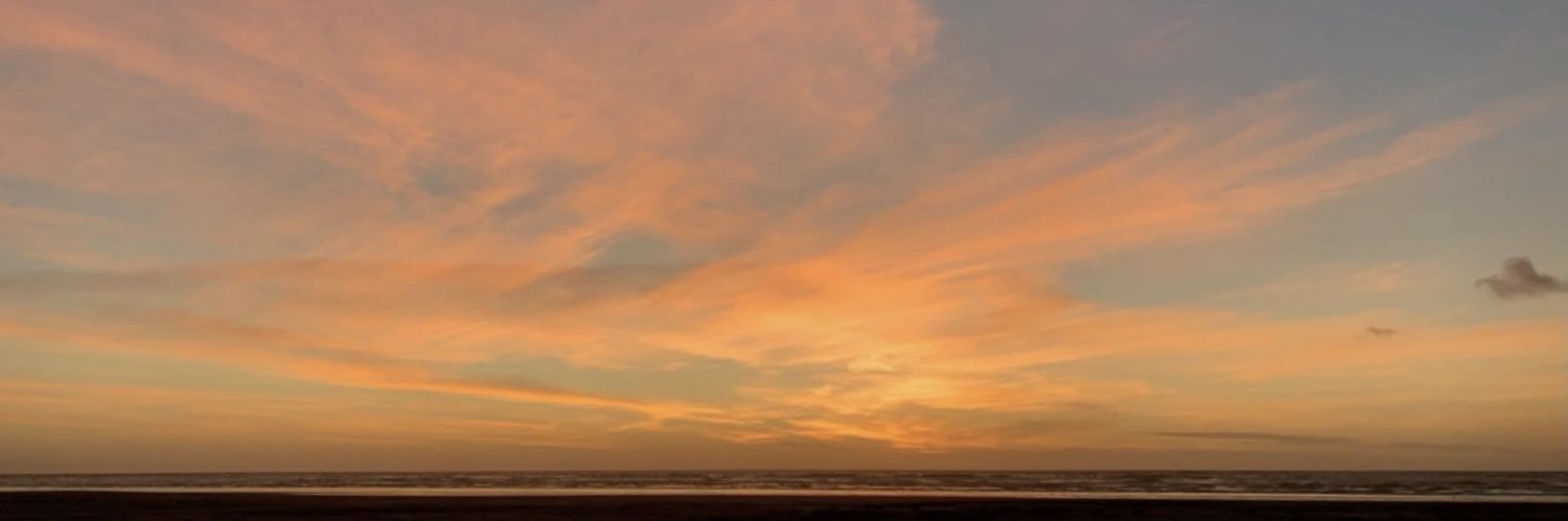 reecewallacee32's profile banner image