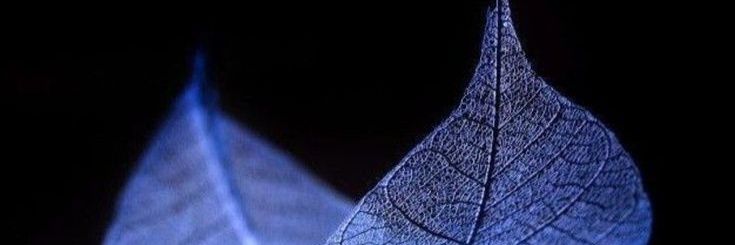 SShanth47517813's profile banner image