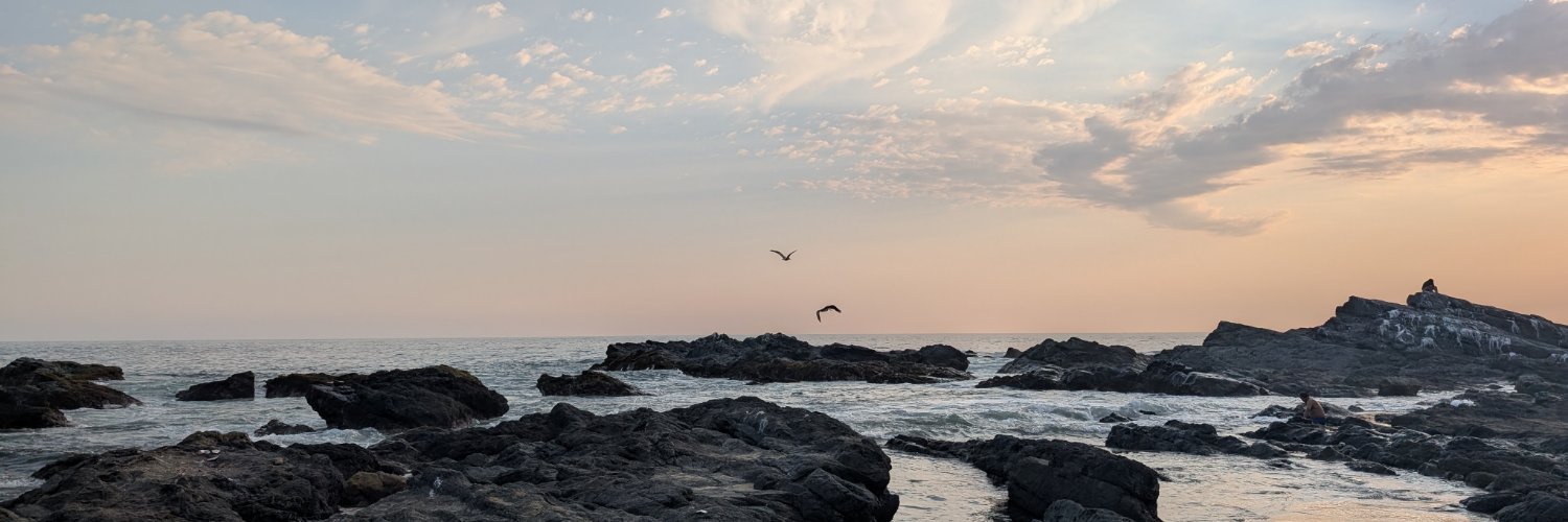 mariabanunez's profile banner image