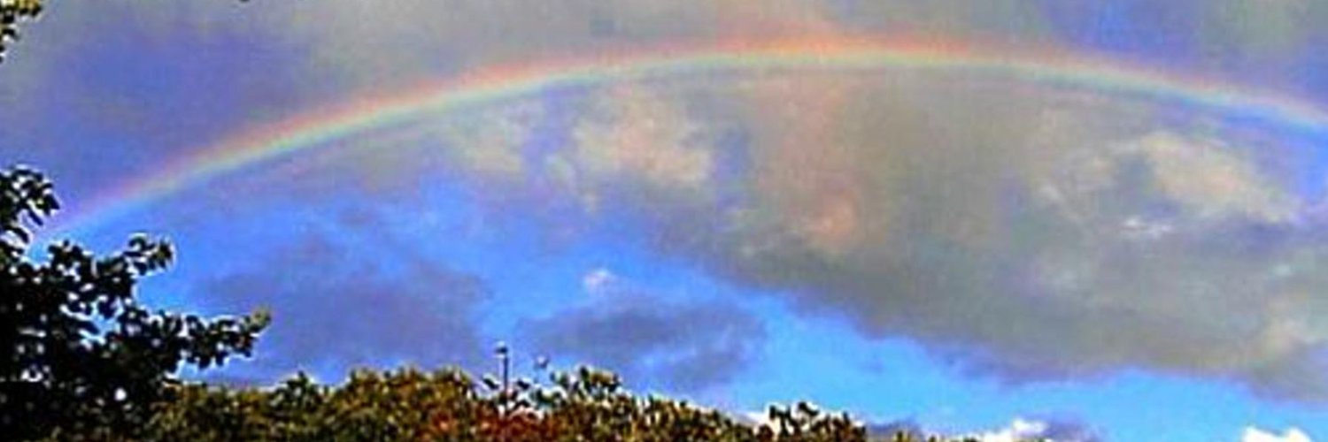 Flashinglight banner