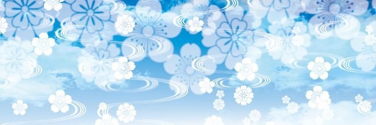 zenitsette's profile banner image
