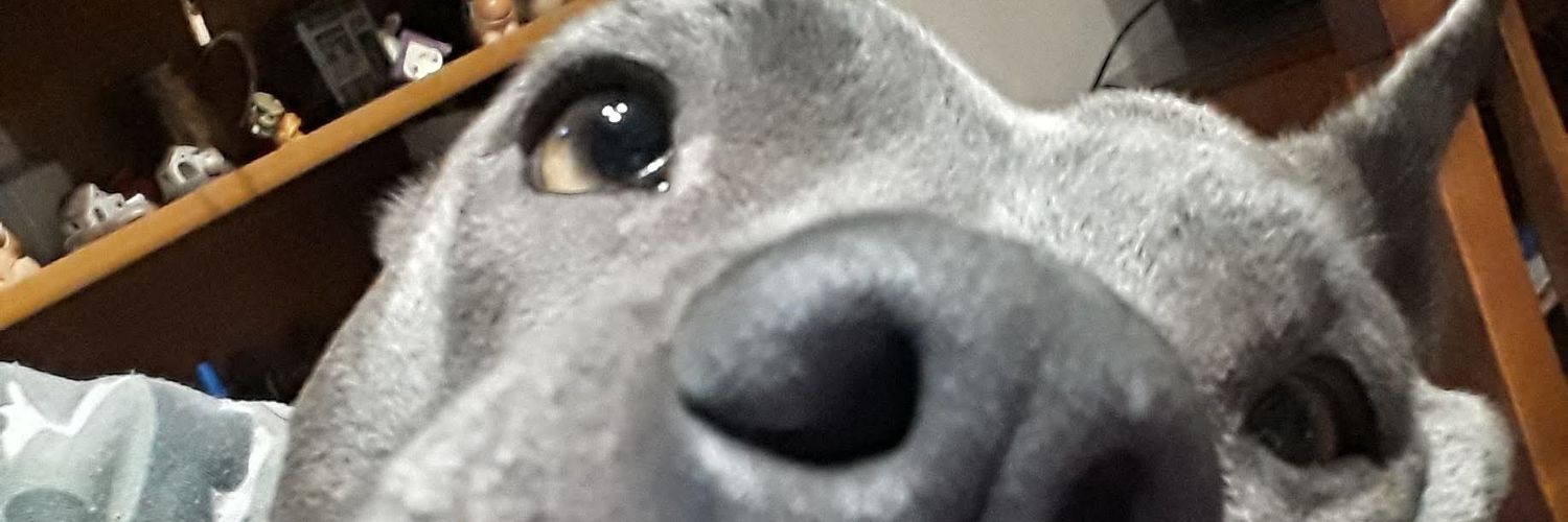 CamiHernandez57's profile banner image