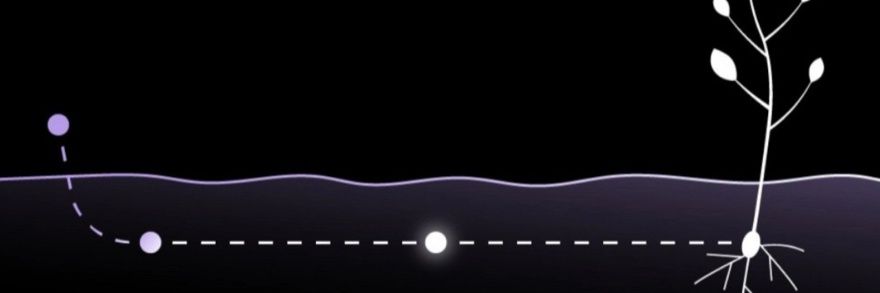 Gooxa Records banner