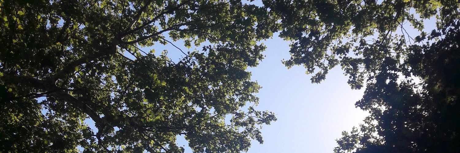 mervgerger's profile banner image
