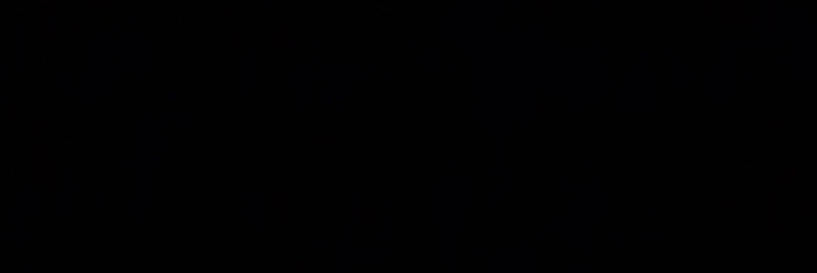 Txan banner