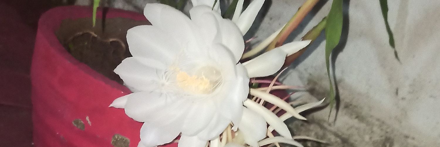 girishmin's profile banner image
