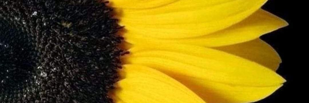 MMMARYLIN's profile banner image