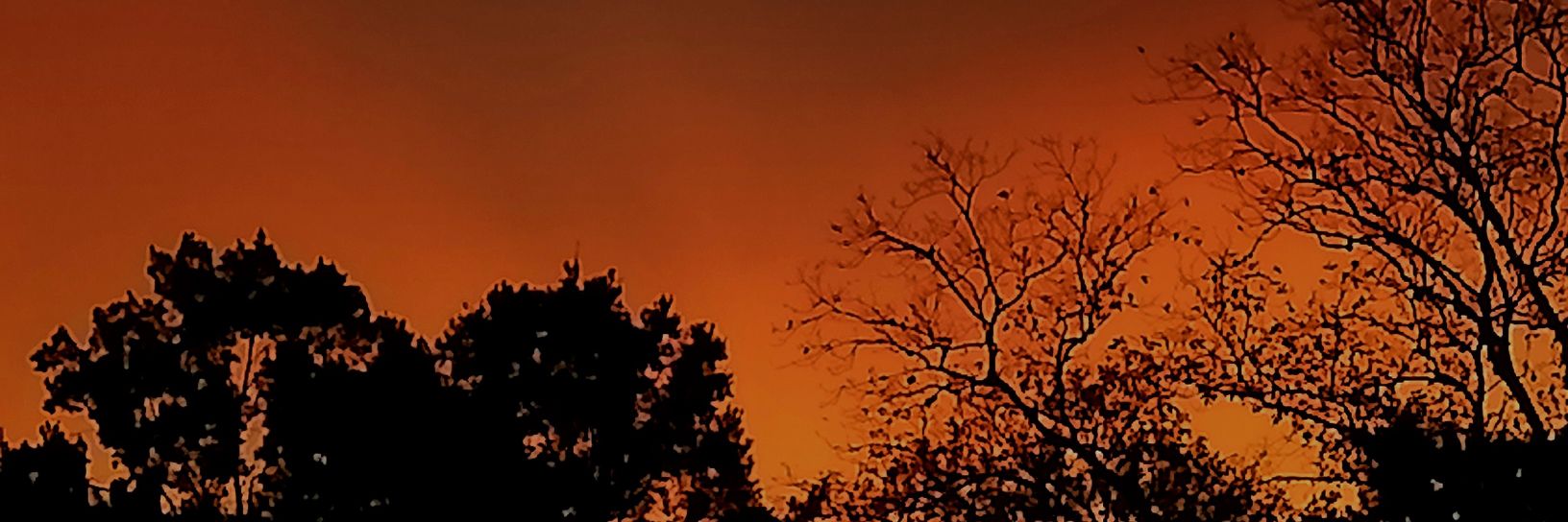 IvvanLuna's profile banner image