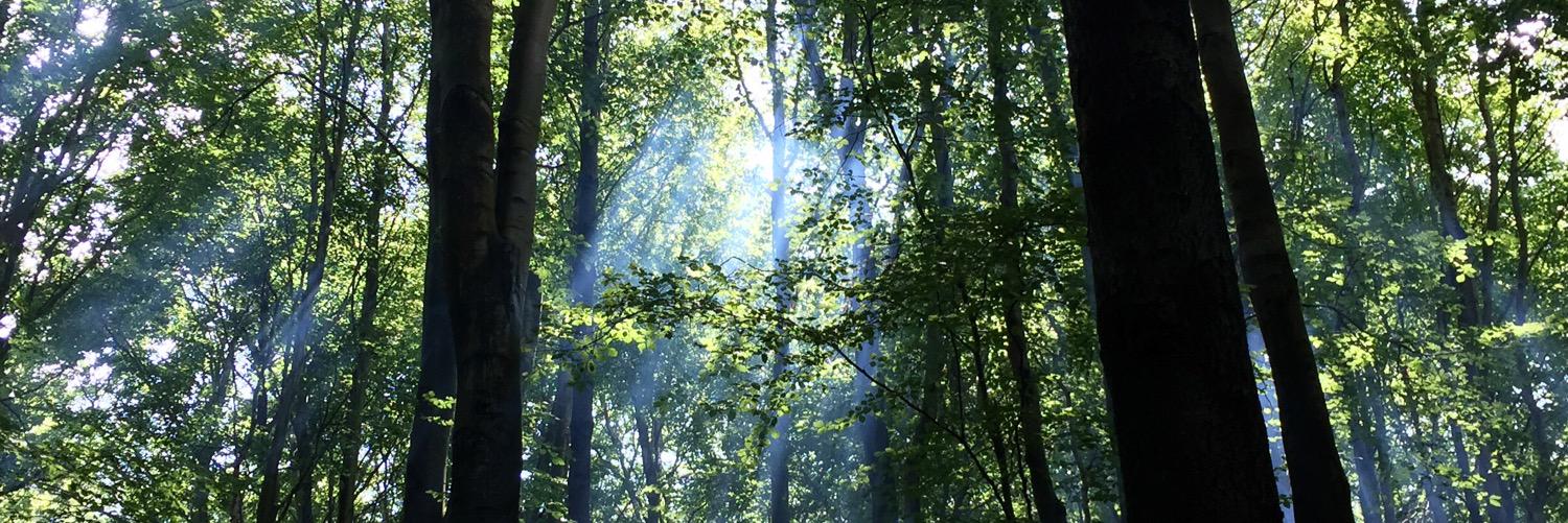 Sheryl Beck (Edwards) 🏴󠁧󠁢󠁷󠁬󠁳󠁿 banner