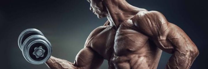 Muscular fitness banner