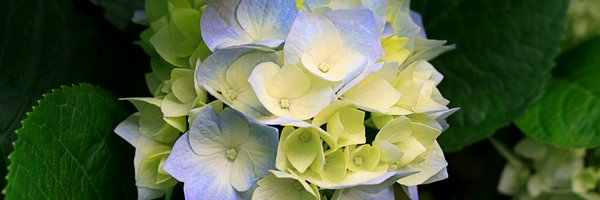 MohammedSa2r Profile Banner