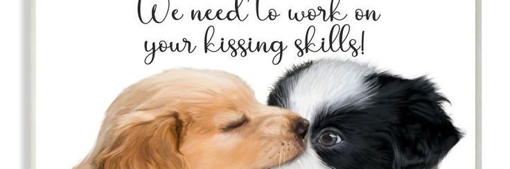 JAY TORIN🌑🌒🌓🌔🌕🌖🌗🌘🌑 banner