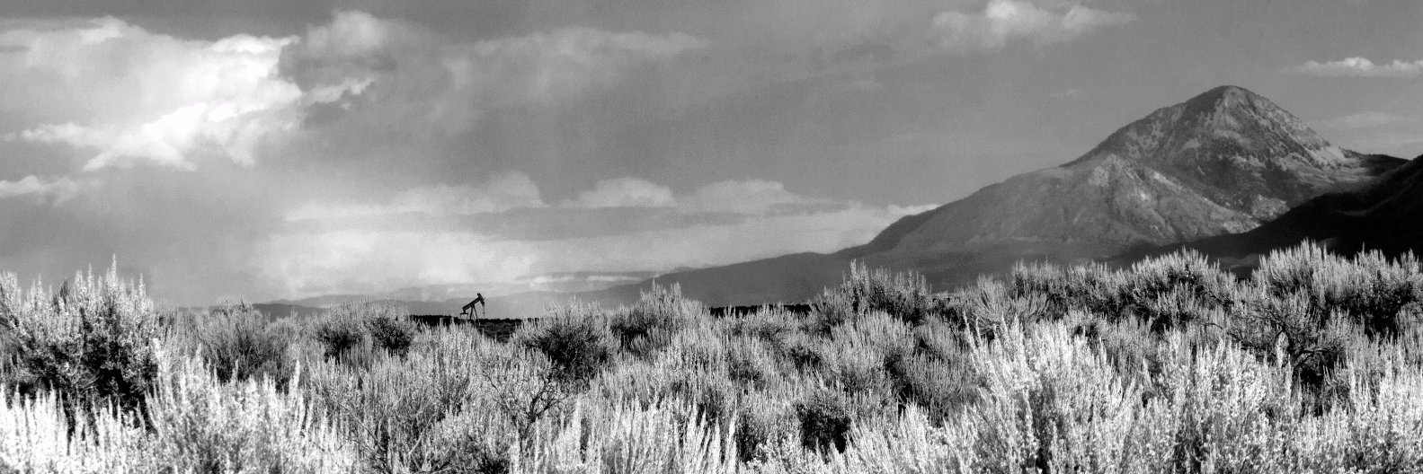 The Land Desk banner