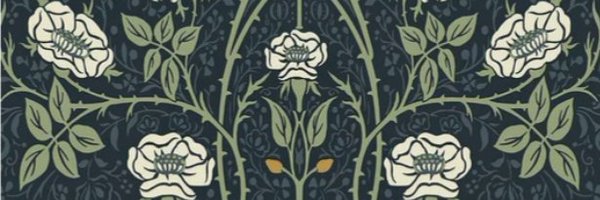 Babewithabush Profile Banner