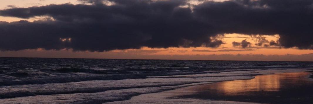 iriisi_'s profile banner image