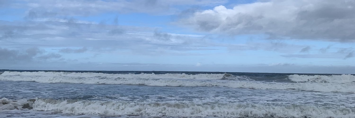 TainaraGassner's profile banner image