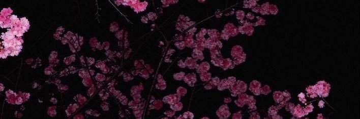 RXB maja banner