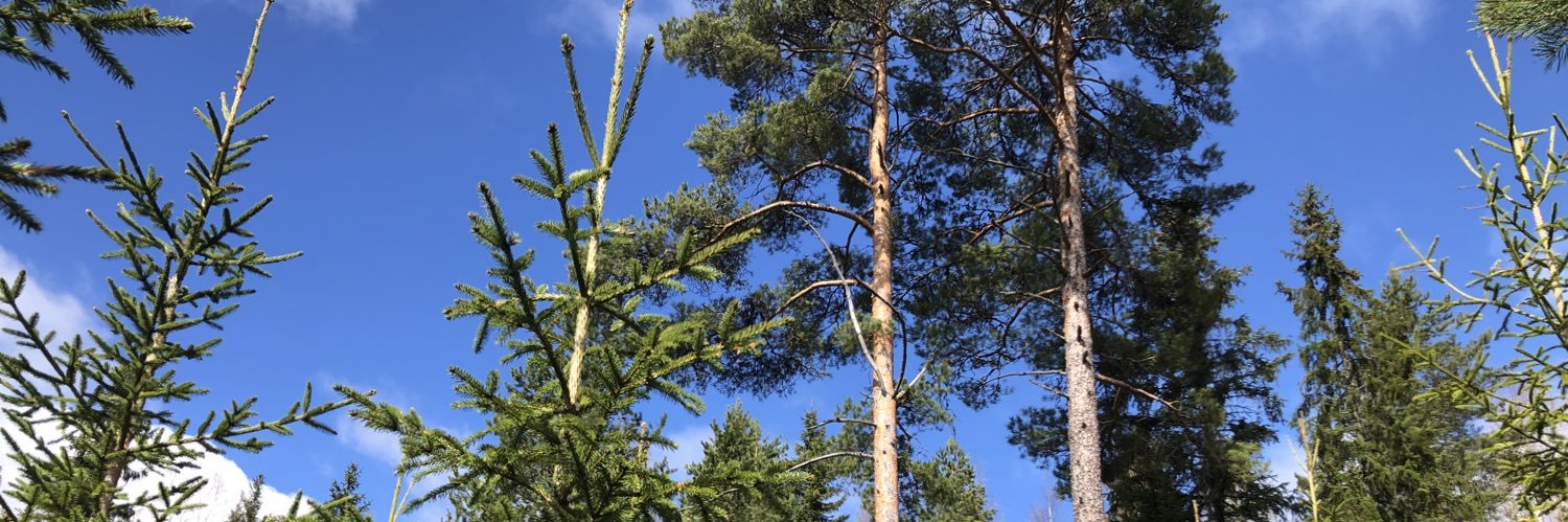 Matti Rauhalahti banner