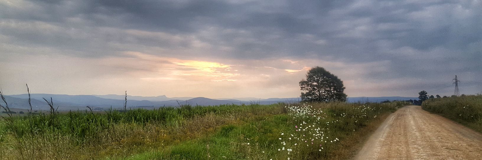 Jacqui Neumann banner