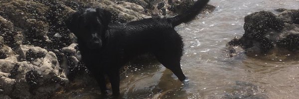 EvansBess Profile Banner