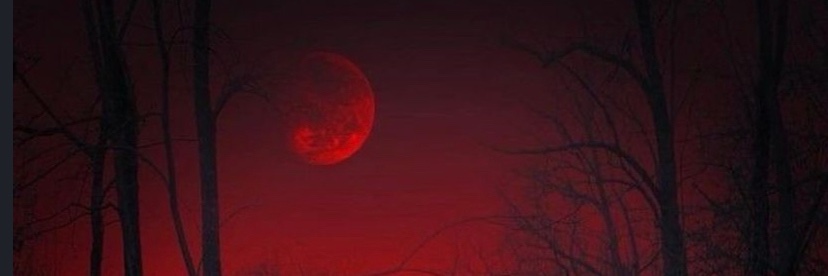 Crimsonishere2's profile banner image