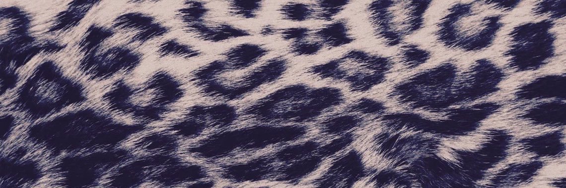 Starsxchimmys's profile banner image