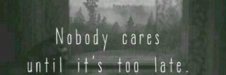 sely banner