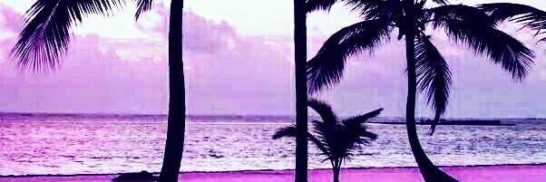 OzyL91's profile banner image