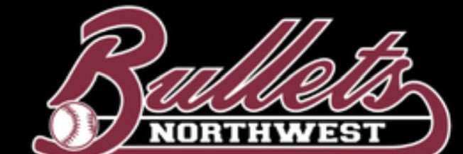 Nw Bullets 16u McGee banner
