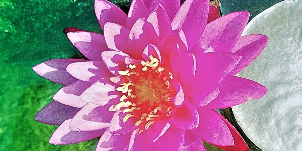nati885's profile banner image