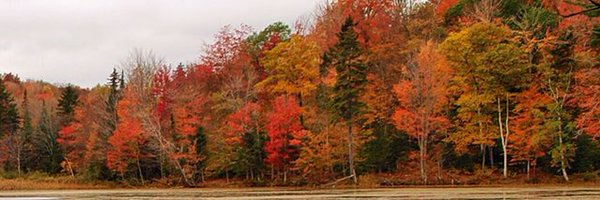 marcotrizzino Profile Banner