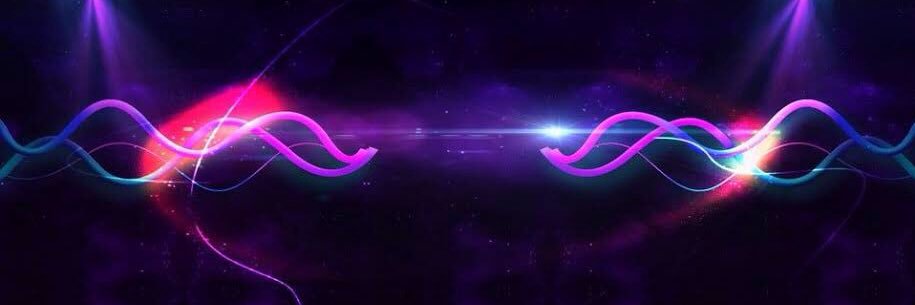 chicobibardv's profile banner image