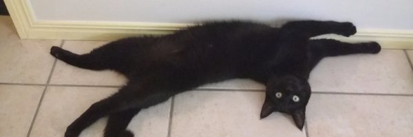 catasonic Profile Banner