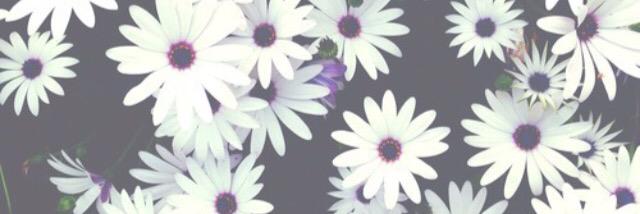 Kelly banner